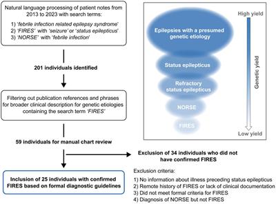 Investigating the genetic contribution in febrile infection-related epilepsy syndrome and refractory status epilepticus